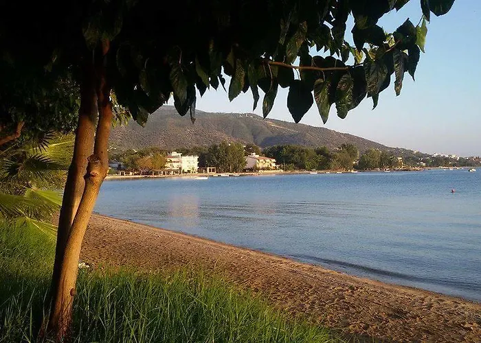 Galazia Akti Apartment *